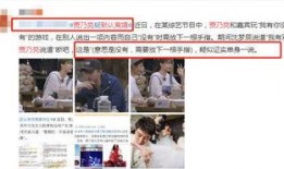 爆料贾乃亮直播视频下载,揭秘幕后故事与真实情感